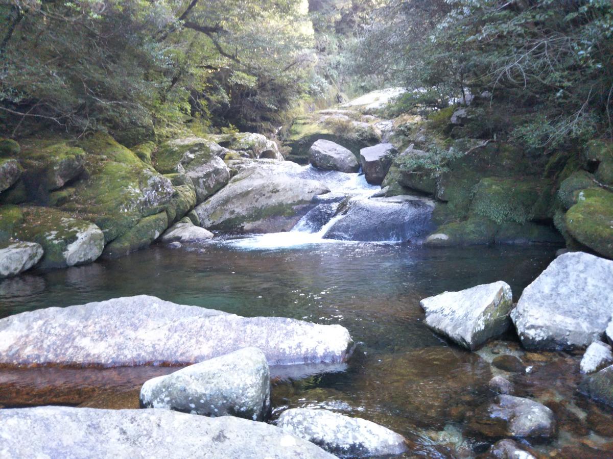 Cottage Yakusugi House Yakushima  Εξωτερικό φωτογραφία