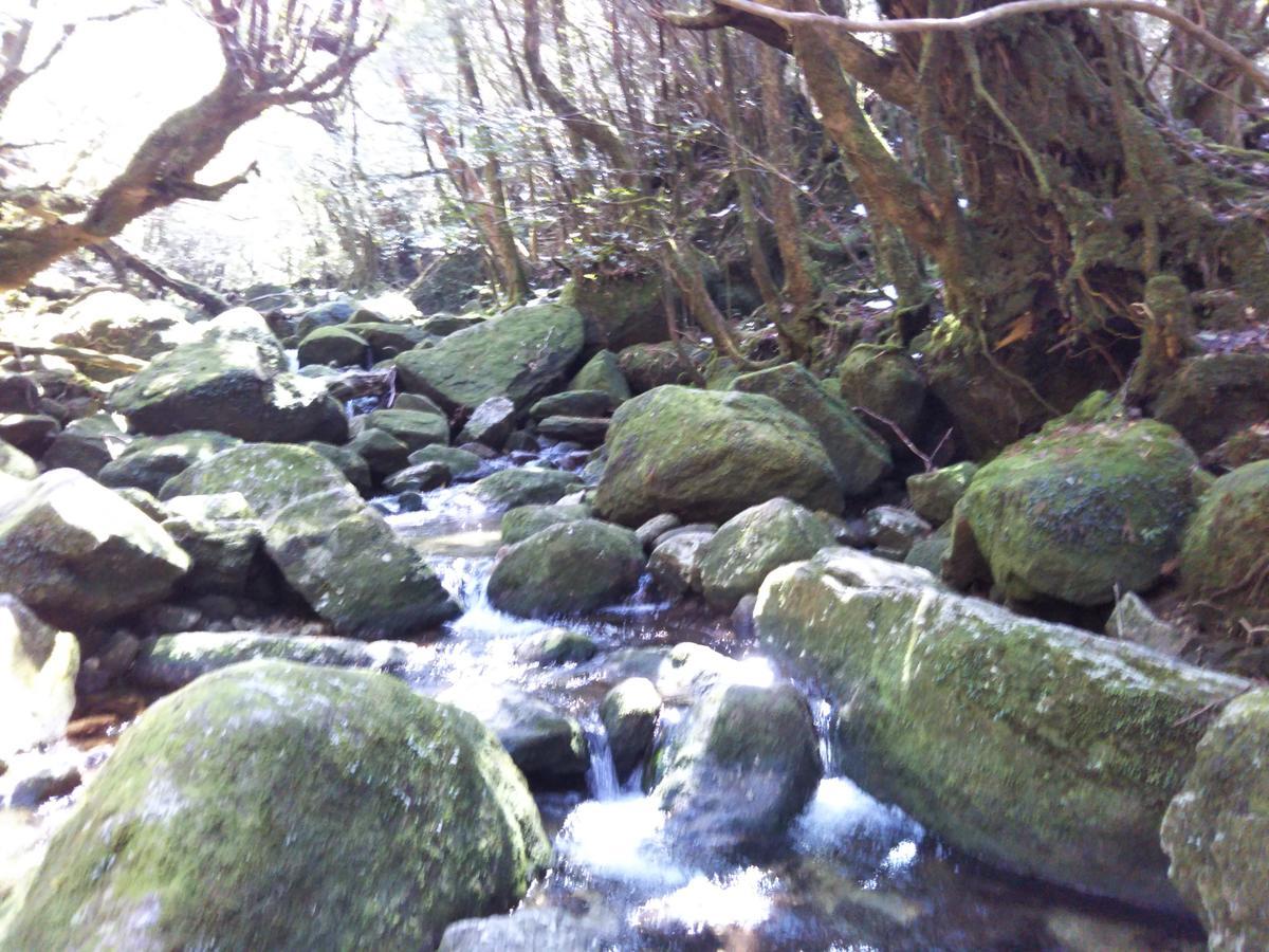 Cottage Yakusugi House Yakushima  Εξωτερικό φωτογραφία