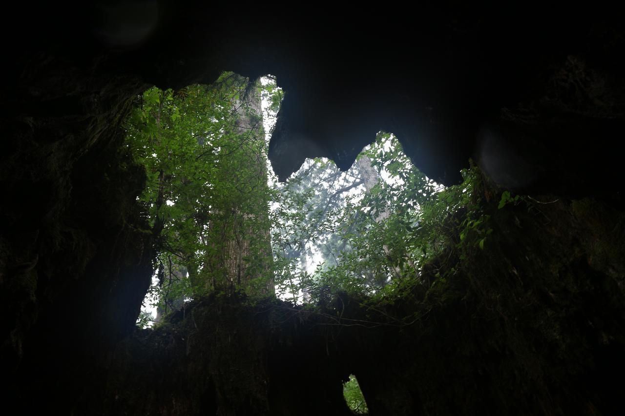 Cottage Yakusugi House Yakushima  Εξωτερικό φωτογραφία